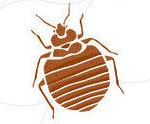 9013463-small