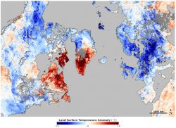 Arctic Oscillation Chills US and Europe