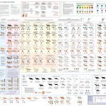 Click for fullsize (3200x2400)