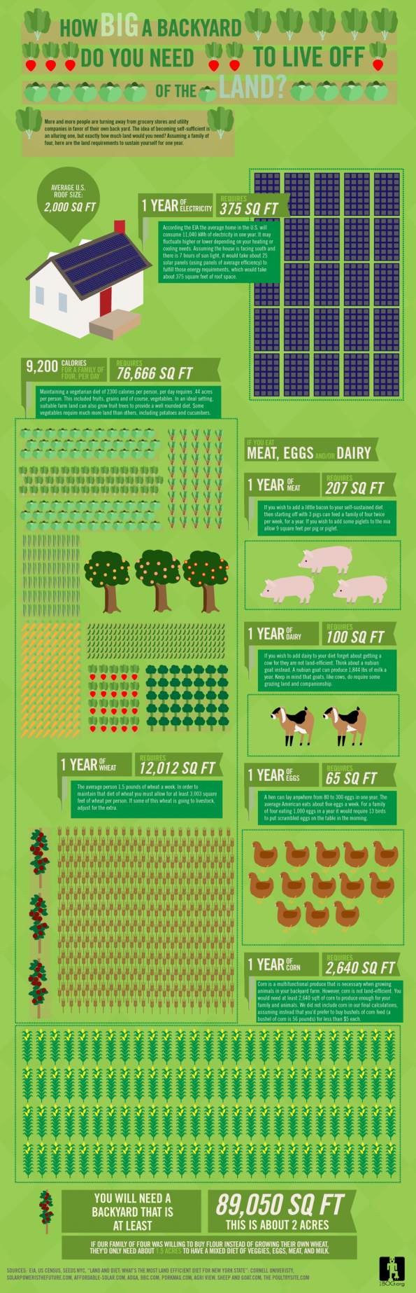 backyard-farm