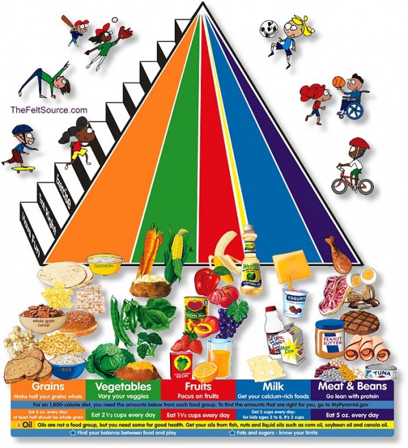 New-Food-Pyramid-Large