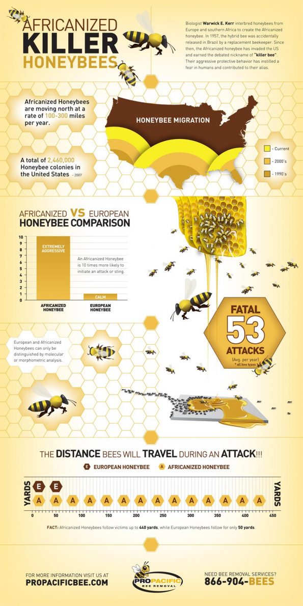 bee-infographic